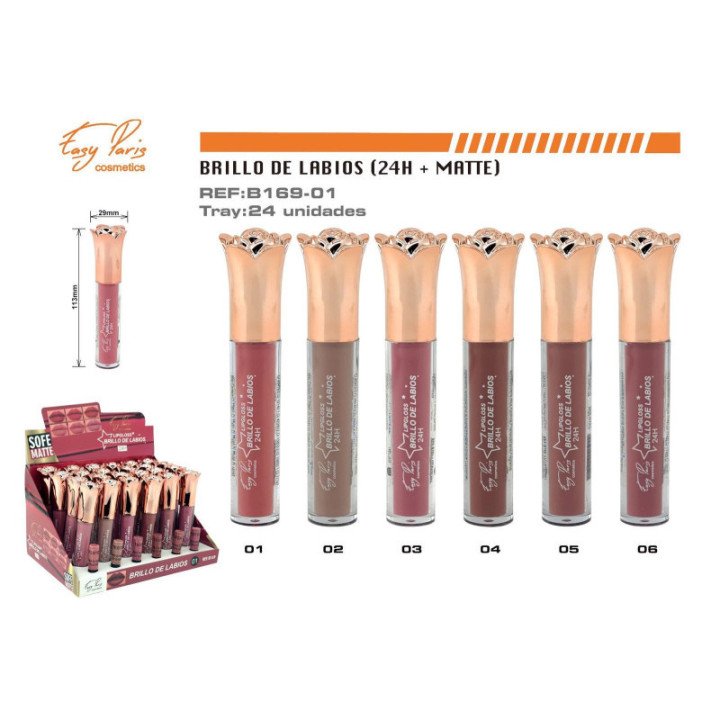 B169-01 : B.DE LABIOS MATE 24H 288/C