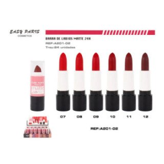 A201-02 : BARRA DE LABIOS MATTE 24H 24/U 288/U