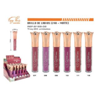 B169-02 : B.DE LABIOS MATE 24H 288/C