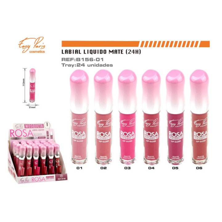 B156-01 : LIP GLOSS 24H 24/U 288/C