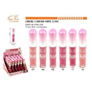 B156-02 : LIP GLOSS 24H 24/U 288/C