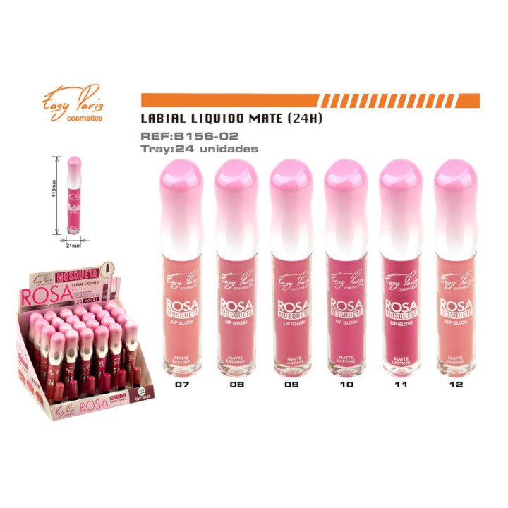 B156-02 : LIP GLOSS 24H 24/U 288/C