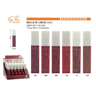 B119-02 : LIPS GLOSS KISS 24H 24/U 288/U