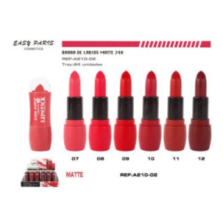 A210-02 : LIPSTICK MATTE 24 H 24/U 288/C