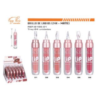 B155-01 : LIP GLOSS 24H 24/U 288/C