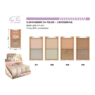 Z017-01 : ILUMINADOR & CONTURING 24/U 288/C