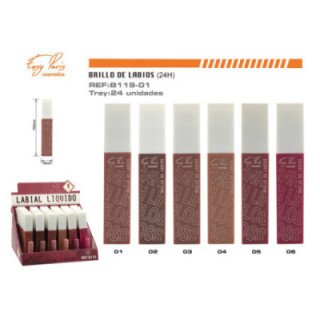 B119-01 : LIPS GLOSS KISS 24H 24/U 288/U