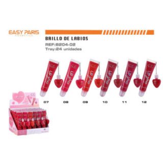 B204-02 : BRILLO DE LABIOS +MINI GLOSS 288/C