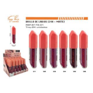 B172-01 : B.DE LABIOS FIJO 24/U 288/C