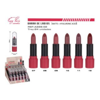 A228-02 : B.LABIOS SEDOSO+ACID HIALURONIC 24/U 288/C
